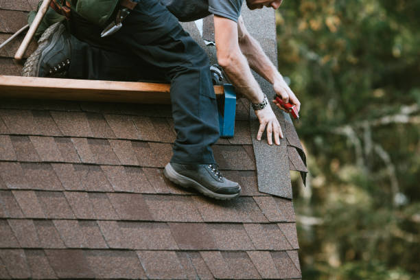 Best Roof Gutter Cleaning  in Sikeston, MO